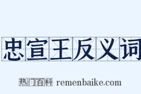 忠宣王反义词是什么意思的图片